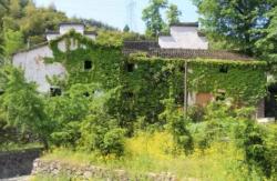 橫嶺村，一個慢生活的好去處