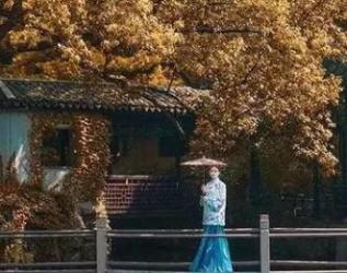 賞江南美人，看人間畫境