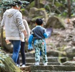 這個春天，帶孩子去感受大自然的奇妙