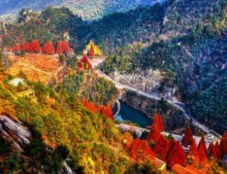 層林盡染，看大明山