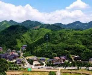 充滿清新又帶點文藝的村落——天目月鄉
