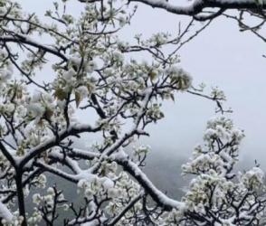 雪花紛飛后的臨安，你不來看一下嗎？