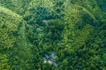 深山古剎，來一場帶著禪意的吸氧之旅吧