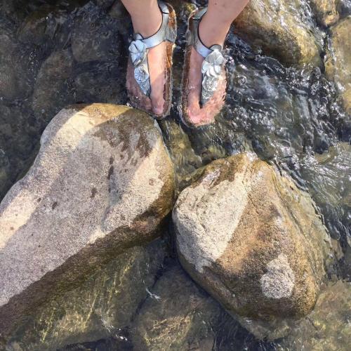 在水中納涼
