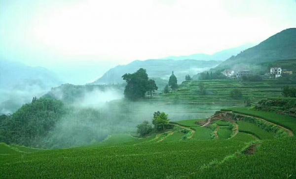 山中雨霧