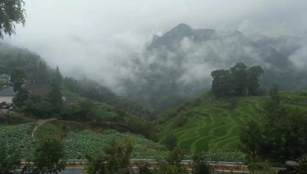 山中云霧