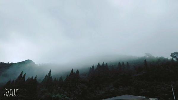 山中雨霧