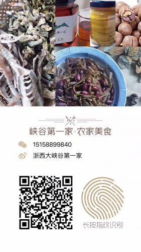 宣傳單
