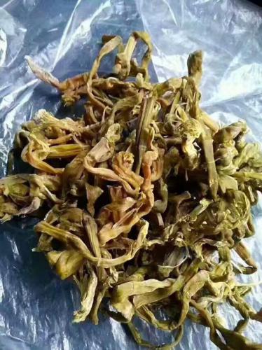 筍干