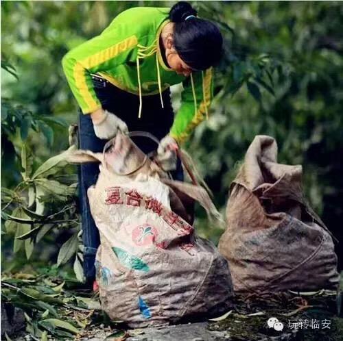 打包起來