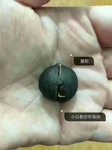 一個核桃