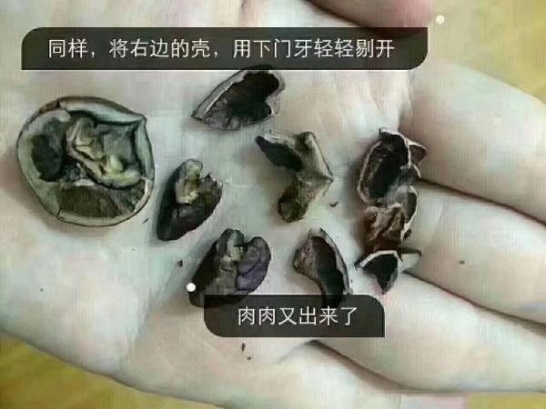 一點一點的撥開