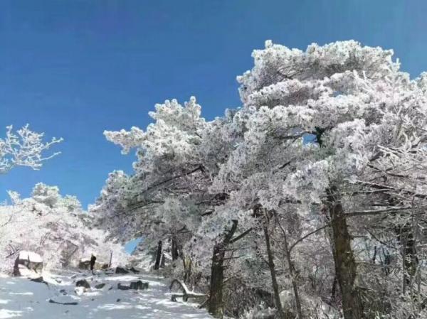 滿世界的銀白色