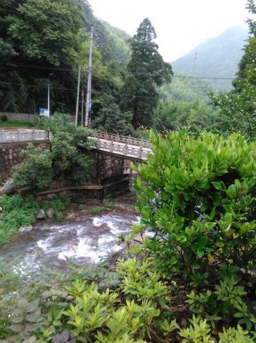 橋下的小溪