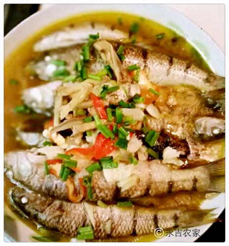 石斑魚