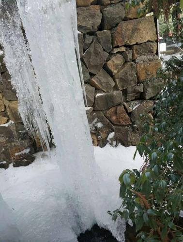 雪景