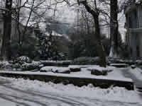 美麗雪景