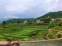 周邊美景
