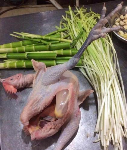 農家土雞