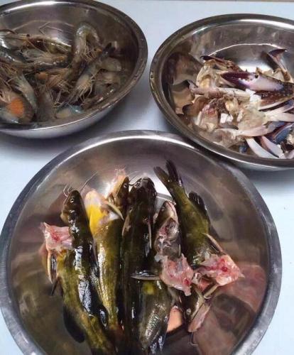 新鮮魚蝦