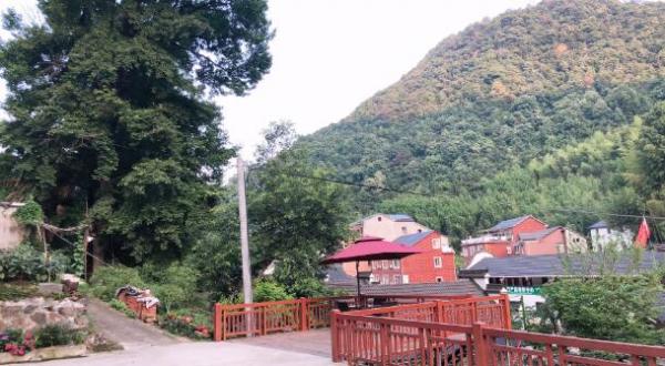 露臺美景