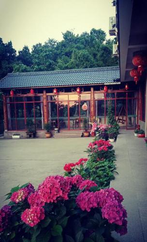 農家庭院