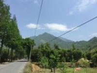 東天目山風景