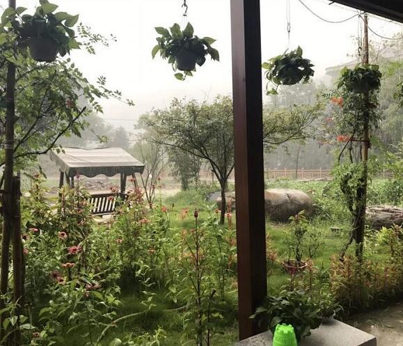 綠植多多