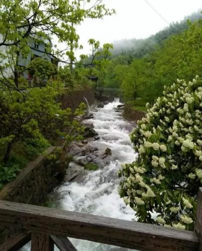 山間溪流