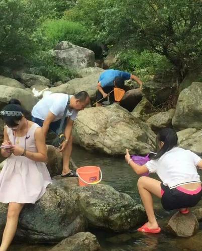 抓魚