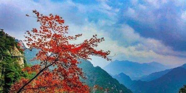 景色優美