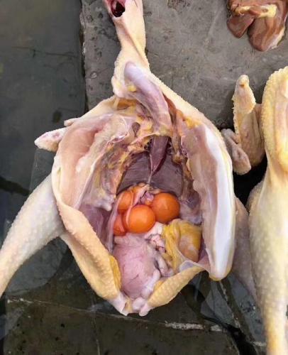 現殺現做