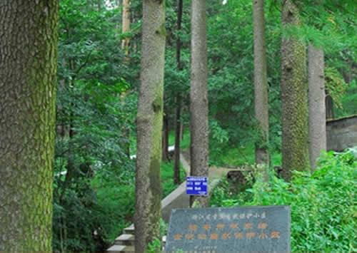 空氣好