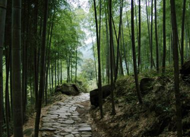 林間小道