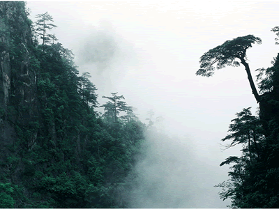 神奇的風景