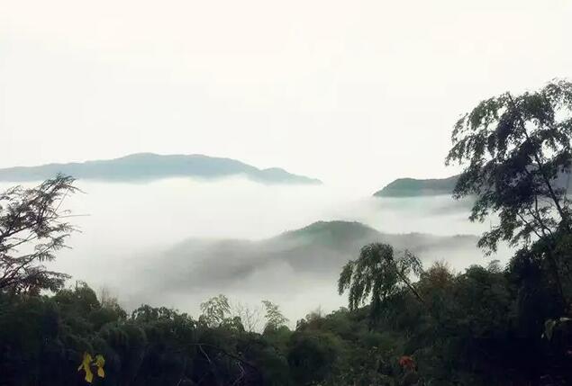 風景