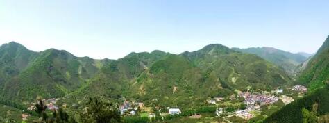 楊洪村 