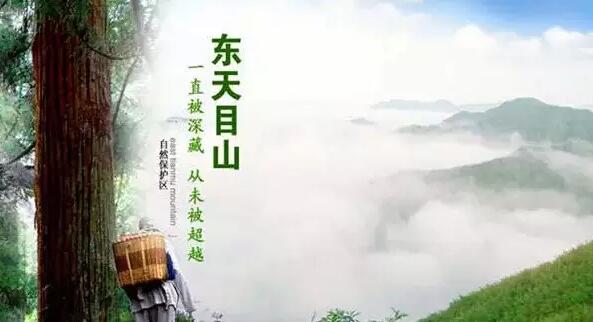 東天目山宣傳