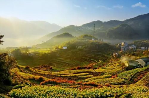 三道茶發源地