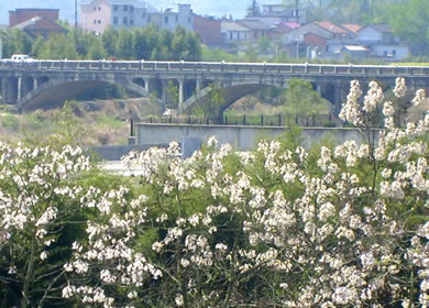 周邊風景