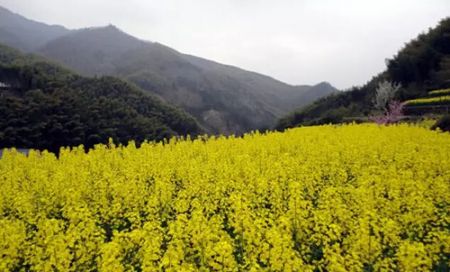 周邊環境