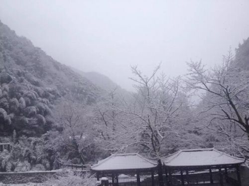 冬季美景