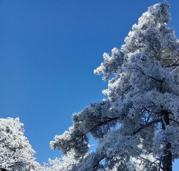 美麗的雪景