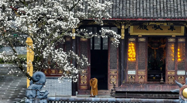 古剎玉蘭