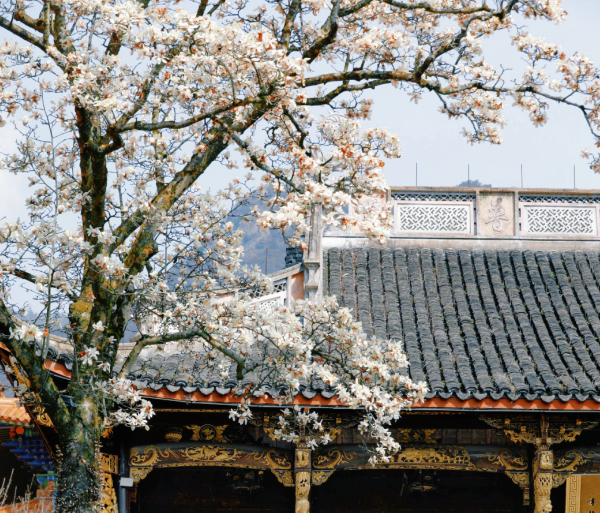 禪源寺