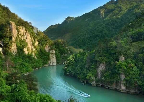 青山綠水