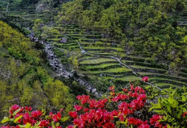 百丈嶺古道
